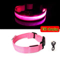 LED Glow Dog Collar - Rechargeable Nylon Light-Up Pet Collar