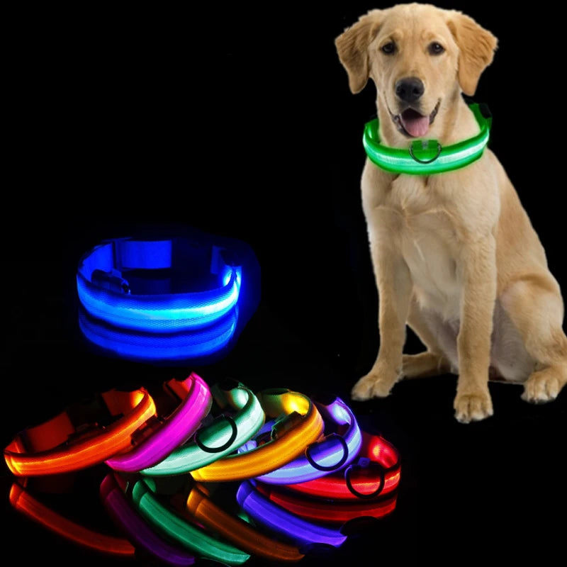 LED Glow Dog Collar - Rechargeable Nylon Light-Up Pet Collar