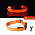 LED Glow Dog Collar - Rechargeable Nylon Light-Up Pet Collar