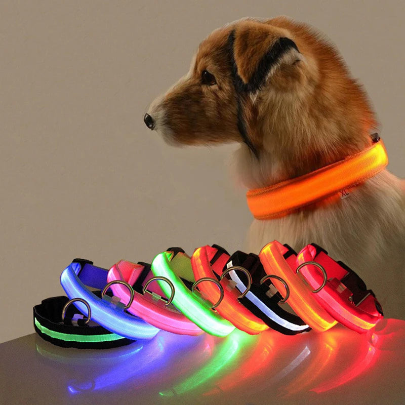 LED Glow Dog Collar - Rechargeable Nylon Light-Up Pet Collar