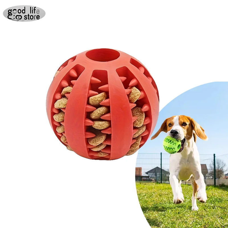 Interactive Rubber Dog Chew Ball - Teeth Cleaning & Training Toy