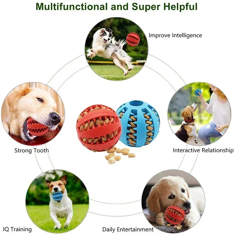 Interactive Rubber Dog Chew Ball - Teeth Cleaning & Training Toy