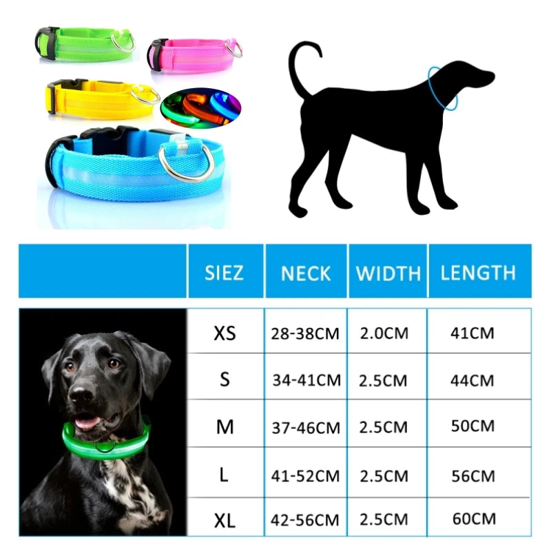 LED Glow Dog Collar - Rechargeable Nylon Light-Up Pet Collar