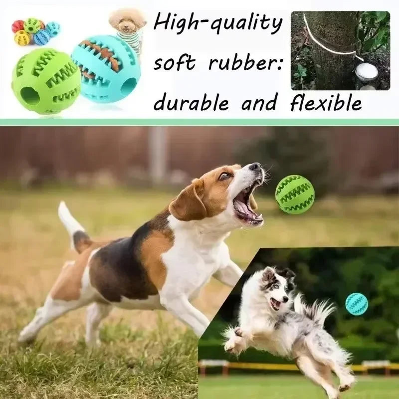 Interactive Rubber Dog Chew Ball - Teeth Cleaning & Training Toy