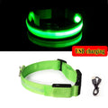 LED Glow Dog Collar - Rechargeable Nylon Light-Up Pet Collar