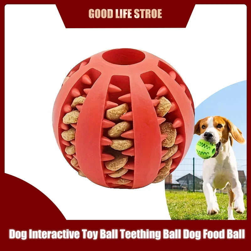 Interactive Rubber Dog Chew Ball - Teeth Cleaning & Training Toy